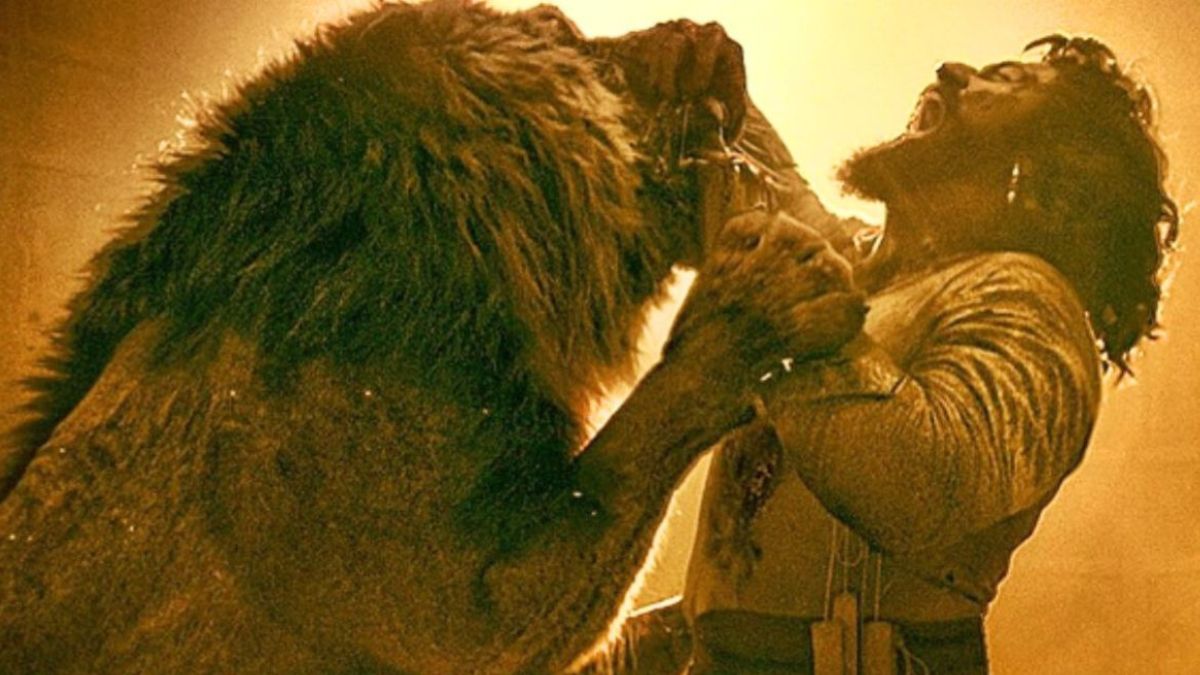 chhaava box office collection